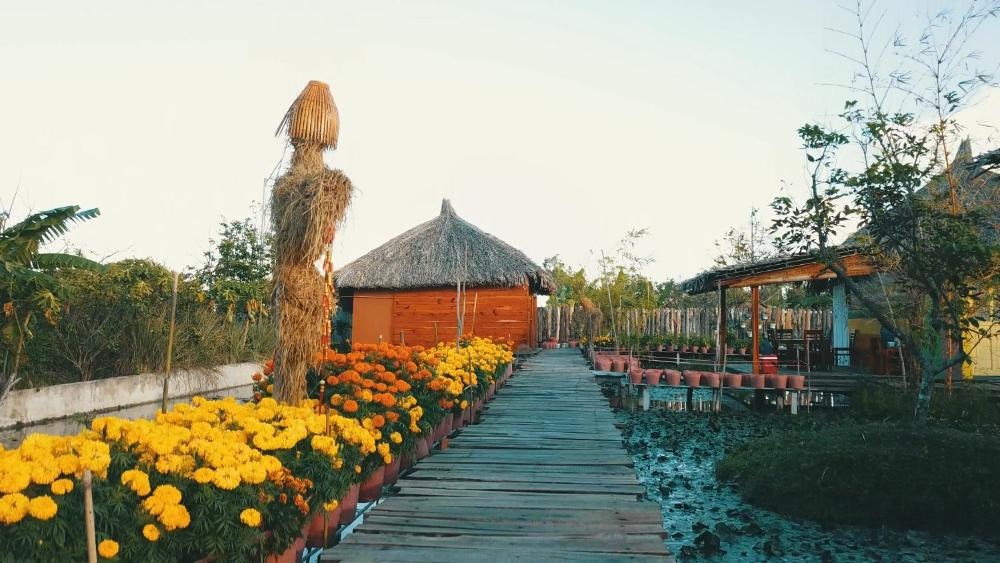 Vườn Sinh Thái Xẻo Nhum Cần Thơ