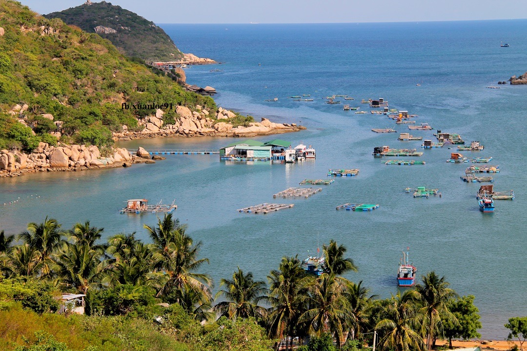 Vịnh Vĩnh Hy Ninh Thuận